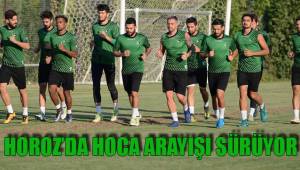 HOROZ’DA HOCA ARAYIŞI SÜRÜYOR