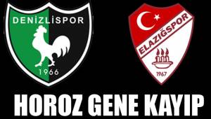 HOROZ GENE KAYIP