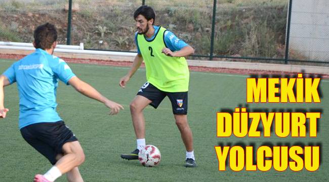 MEKİK DÜZYURT YOLCUSU