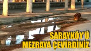 SARAYKÖY'Ü MEZRAYA ÇEVİRDİNİZ