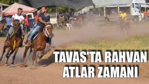 TAVAS'TA RAHVAN ATLAR ZAMANI