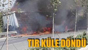 TIR KÜLE DÖNDÜ