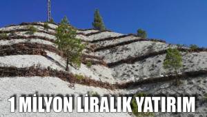 1 MİLYON LİRALIK YATIRIM