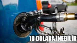 10 DOLARA İNEBİLİR