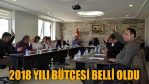 2018 YILI BÜTÇESİ BELLİ OLDU