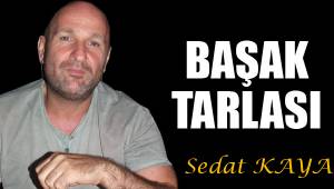 BAŞAK TARLASI