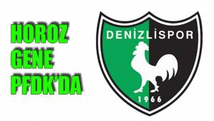 HOROZ GENE PFDK’DA