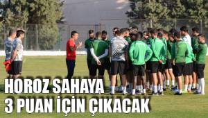 HOROZ SAHAYA 3 PUAN İÇİN ÇIKACAK