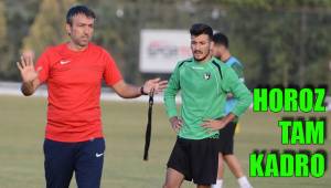 HOROZ TAM KADRO