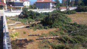 METEOROLOJİK TESPİT İÇİN KESİLDİLER