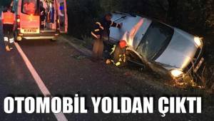 OTOMOBİL YOLDAN ÇIKTI