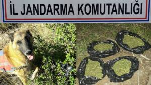 UYUŞTURUCUYA TUTUKLAMA