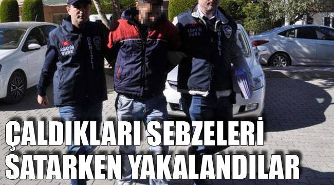 ÇALDIKLARI SEBZELERİ SATARKEN YAKALANDILAR