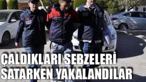 ÇALDIKLARI SEBZELERİ SATARKEN YAKALANDILAR