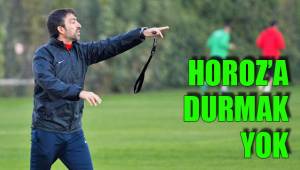 HOROZ’A DURMAK YOK