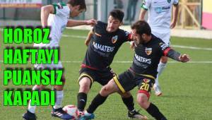 HOROZ HAFTAYI PUANSIZ KAPADI