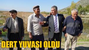 IŞIKLI VE BAKLAN OVASI DERT YUVASI OLDU