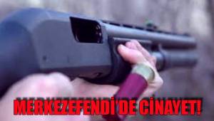 MERKEZEFENDİ’DE CİNAYET!