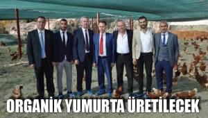 ORGANİK YUMURTA ÜRETİLECEK