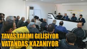 TAVAS TARIMI GELİŞİYOR VATANDAŞ KAZANIYOR