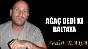 AĞAÇ DEDİ Kİ BALTAYA