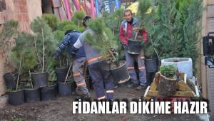 FİDANLAR DİKİME HAZIR