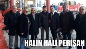 HALİN HÂLİ PERİŞAN