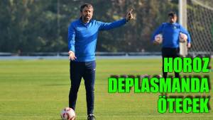 HOROZ DEPLASMANDA ÖTECEK