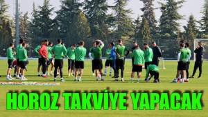 HOROZ TAKVİYE YAPACAK