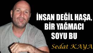 İNSAN DEĞİL HAŞA, BİR YAĞMACI SOYU BU