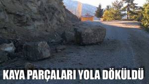 KAYA PARÇALARI YOLA DÖKÜLDÜ
