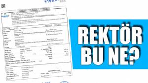 REKTÖR BU NE?