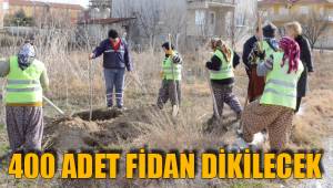 400 ADET FİDAN DİKİLECEK