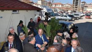 400 fidan dağıtıldı