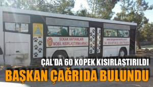 ÇAL’DA 60 KÖPEK KISIRLAŞTIRILDI BAŞKAN ÇAĞRIDA BULUNDU