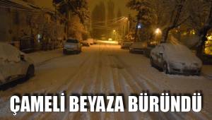 ÇAMELİ BEYAZA BÜRÜNDÜ