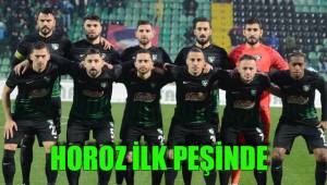 HOROZ İLK PEŞİNDE