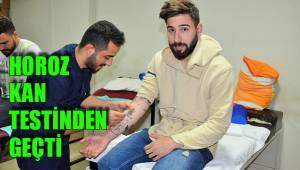 HOROZ KAN TESTİNDEN GEÇTİ