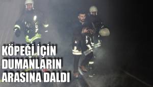 KÖPEĞİ İÇİN DUMANLARIN ARASINA DALDI
