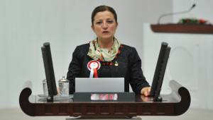 ÖZEL EĞİTİMİ MECLİS GÜNDEMİNE TAŞIDI