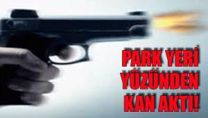 PARK YERİ YÜZÜNDEN KAN AKTI