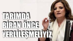 TARIMDA BİRAN ÖNCE YERLİLEŞMELİYİZ