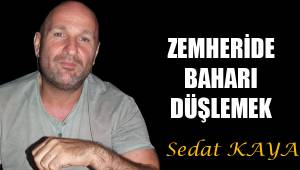 ZEMHERİDE BAHARI DÜŞLEMEK