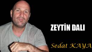 ZEYTİN DALI