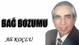 BAĞ BOZUMU