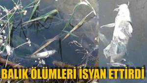 BALIK ÖLÜMLERİ İSYAN ETTİRDİ