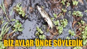 BİZ AYLAR ÖNCE SÖYLEDİK