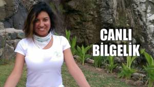 CANLI BİLGELİK