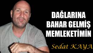 DAĞLARINA BAHAR GELMİŞ MEMLEKETİMİN