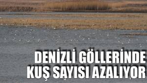 DENİZLİ GÖLLERİNDE KUŞ SAYISI AZALIYOR